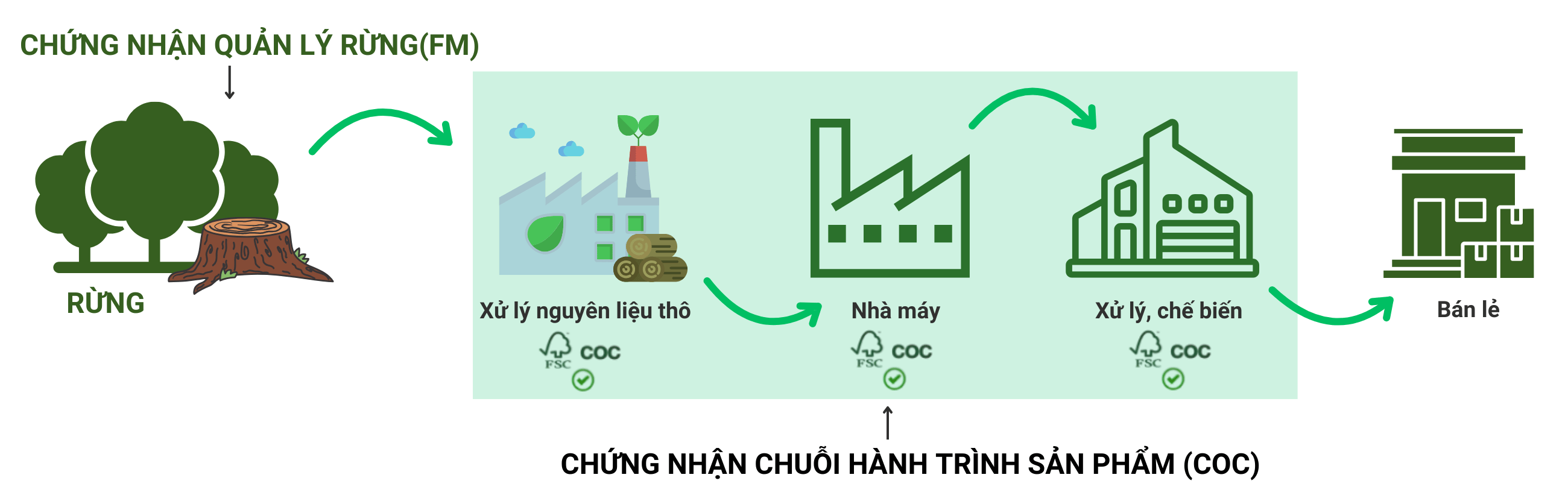 chung-nhan-fsc-coc-quan-ly-rung-ben-vung