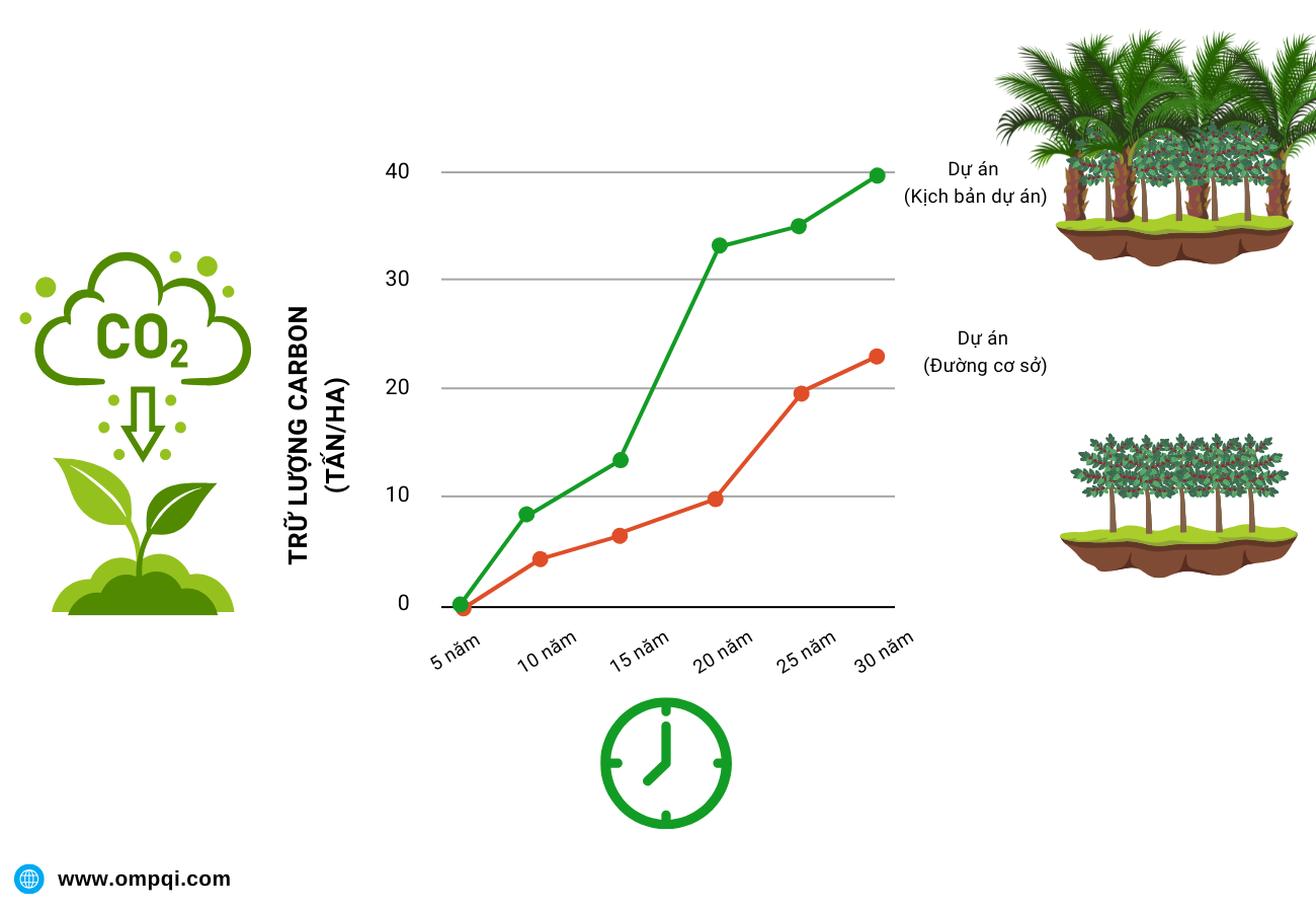 Tổng quan về dự án tín chỉ carbon, những điều cần lưu ý khi tính tín chỉ carbon