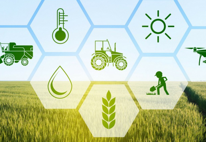 Dịch vụ tư vấn Năng suất Xanh - Văn phòng xanh cho doanh nghiệp