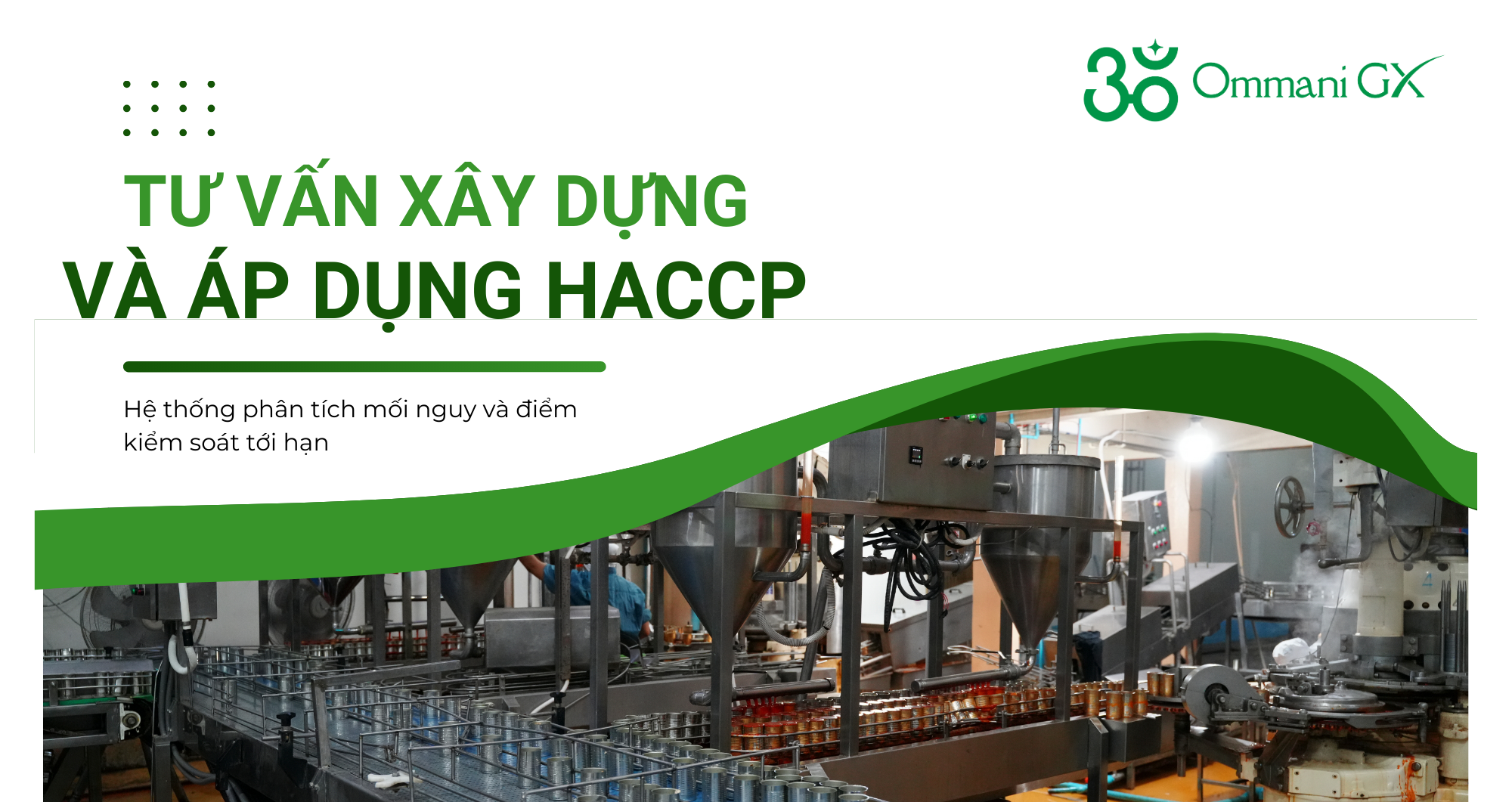 Tư Vấn Xây Dựng và Áp dụng HACCP - Hệ thống phân tích mối nguy và điểm kiểm soát tới hạn