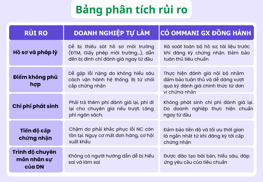 Bảng phân tích những vấn đề doanh nghiệp có thể gặp phải nếu tự làm iso 14001