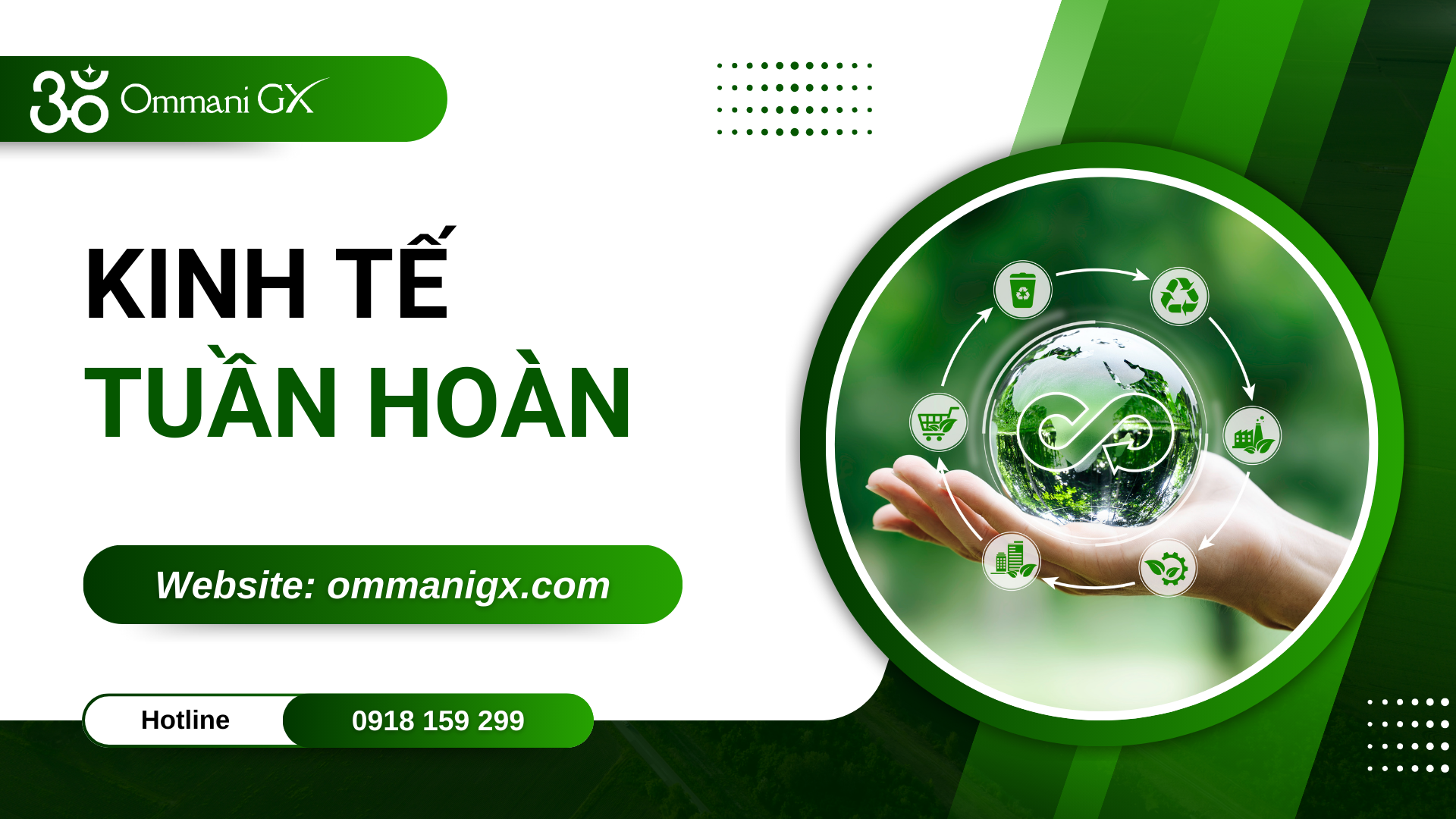 Kinh tế tuần hoàn