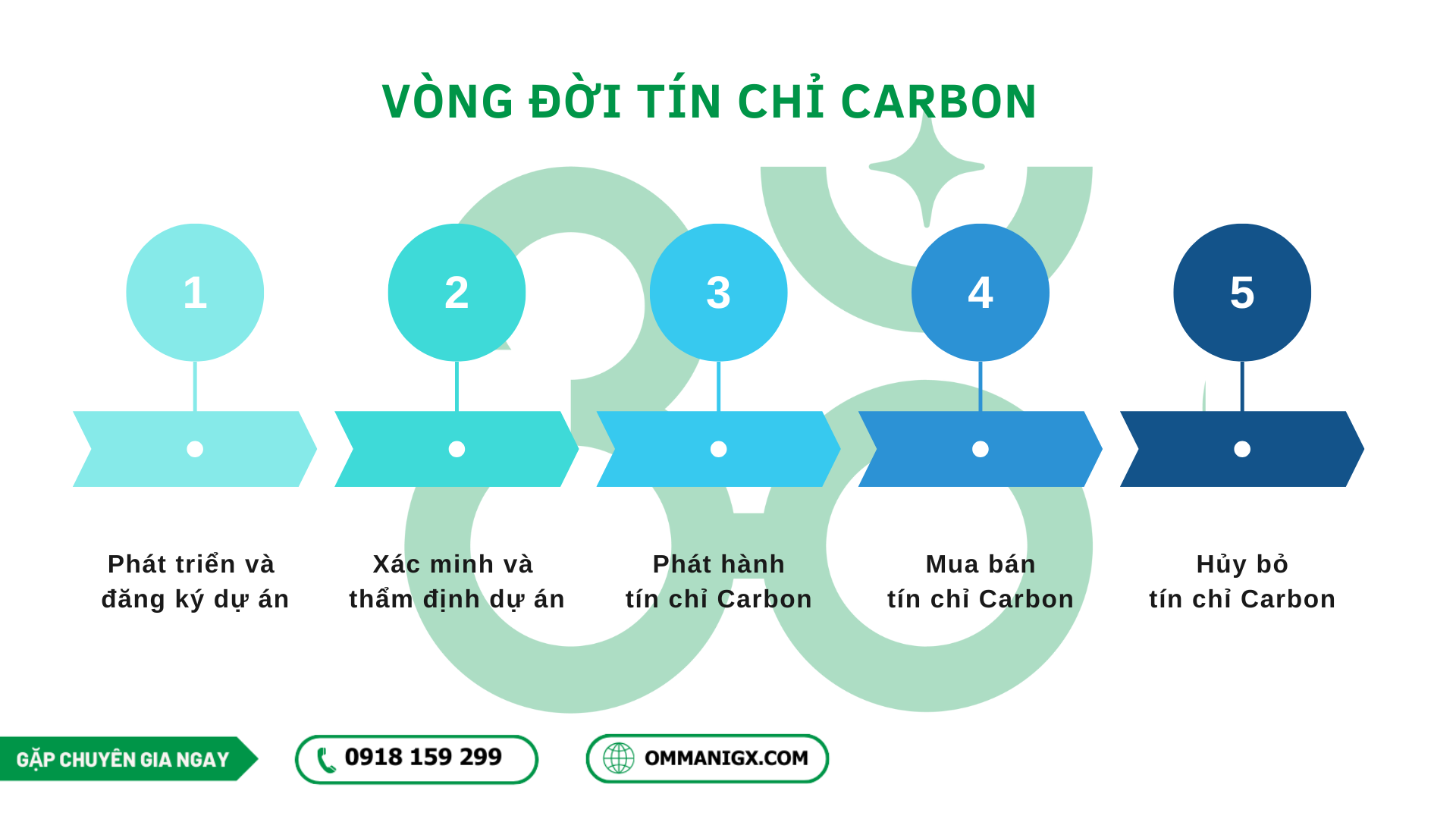 Vòng đời tín chỉ Carbon